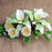 Rose and Miltonia Orchid Gumpaste Cake Topper perfect for cake decorating fondant wedding cakes and fondant birthday cakes