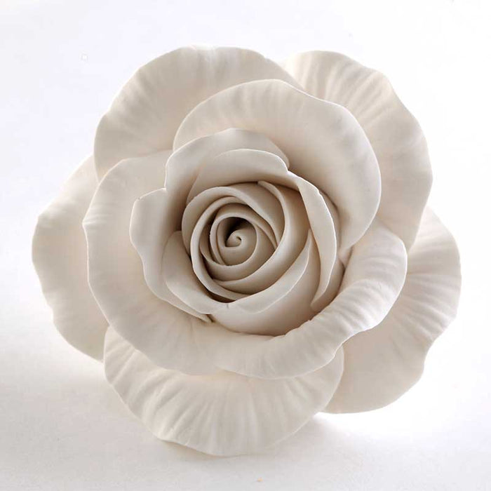 Meghan's Rose - White