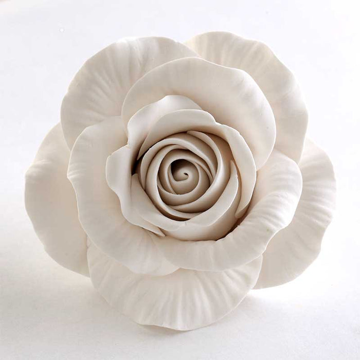 Meghan's Rose - White
