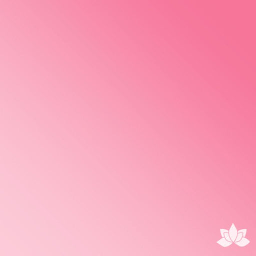 Chefmaster Gel Base Color - Rose Pink