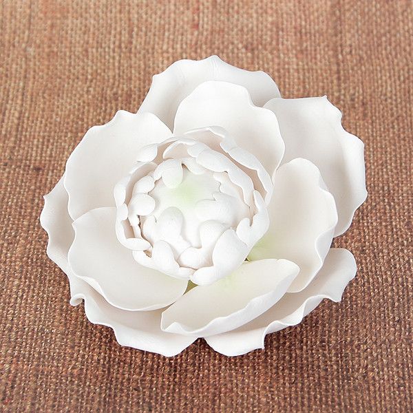 Blooming Peony - White