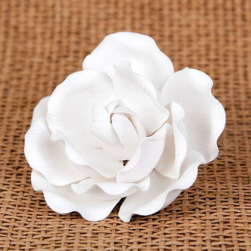 Medium Full Bloom Roses - White