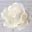Gum paste rose sugar flower cake toppers great for decorating your own cake.