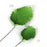 Rose Leaves gumpaste sugarflower cake decorations perfect as cake toppers for cake decorating fondant cakes and wedding cakes.  Wholesale sugarflowers. Wholesale cake supply.