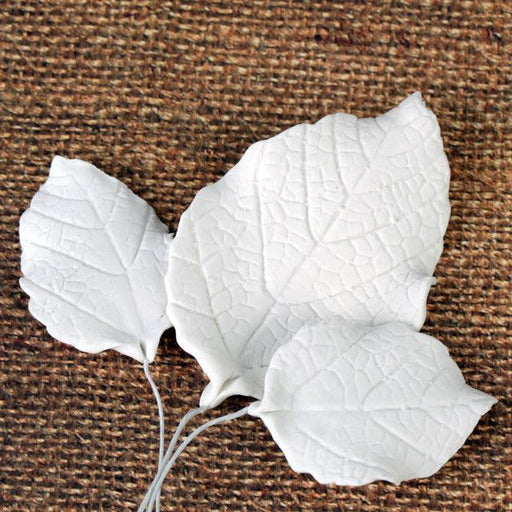 Gumpaste White Rose Leaves Sugarflowers perfect for cake decorating fondant cakes & to pair with gumpaste rose sugarflower cake decorations. Wholesale cake supply.