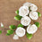 Rambling Rose Sugarflower Sprays perfect for cake decorating fondant cakes with cake toppers.  Wholesale cake decorations. Caljava