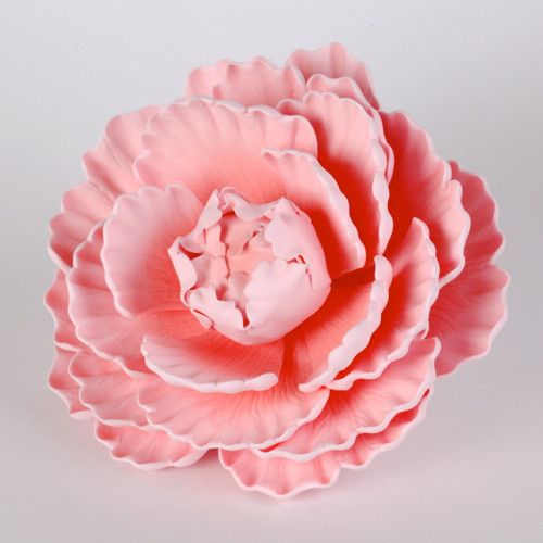 Pink Closed Gumpaste Peony sugarflower cake toppers perfect for cake decorating rolled fondant wedding cakes and birthday cakes.  Wholesale Cake Supply. Large pink ombre closed gumpaste peony handmade cake decoration.  Gumpaste flower. Caljava