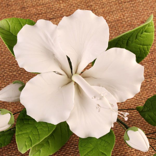 Open White Hibiscus Spray with Leaves gumpaste handmade cake decoration, cake topper.