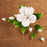 White Hibiscus sugarflower from gumpaste perfect for cake decorating fondant cakes and wedding cakes. Wholesale sugarflowers and cake supply.