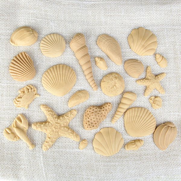 Ivory Sea Shells — CaljavaOnline