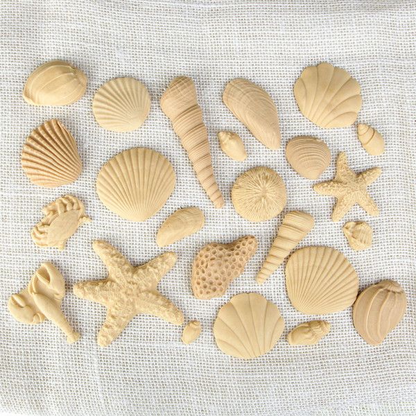 Sea Shells for Decoration  Sea shells, Shells, Shell sculpture