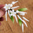Jasmine Fillers are gumpaste sugarflower cake decorations perfect as cake toppers for cake decorating fondant cakes and wedding cakes. Caljava wholesale cake supply.