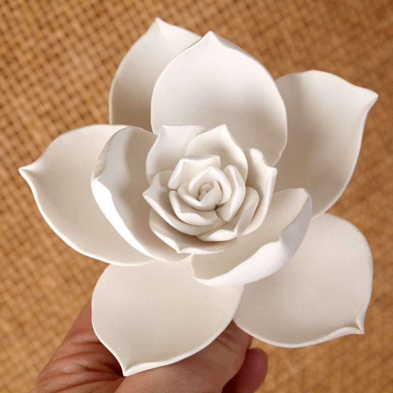 Medium Succulent (Pointy) - White