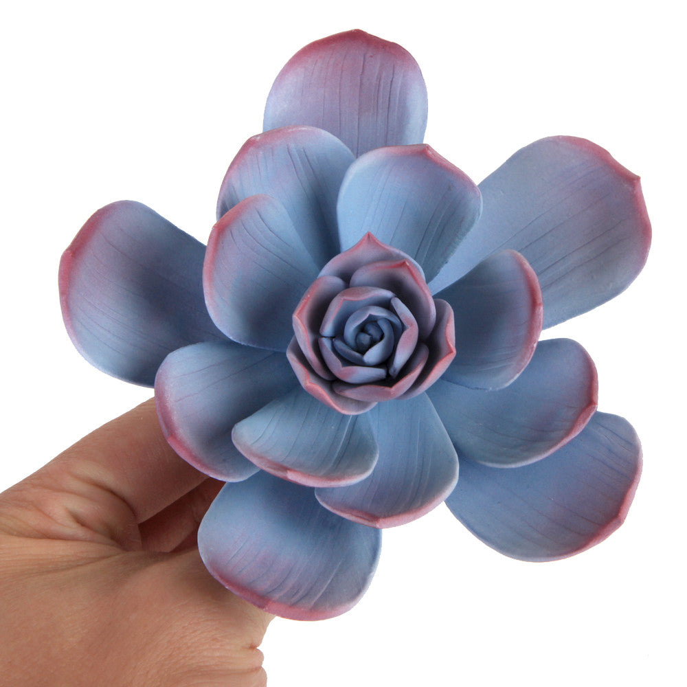 Wild Desert Flower Succulent - Purple