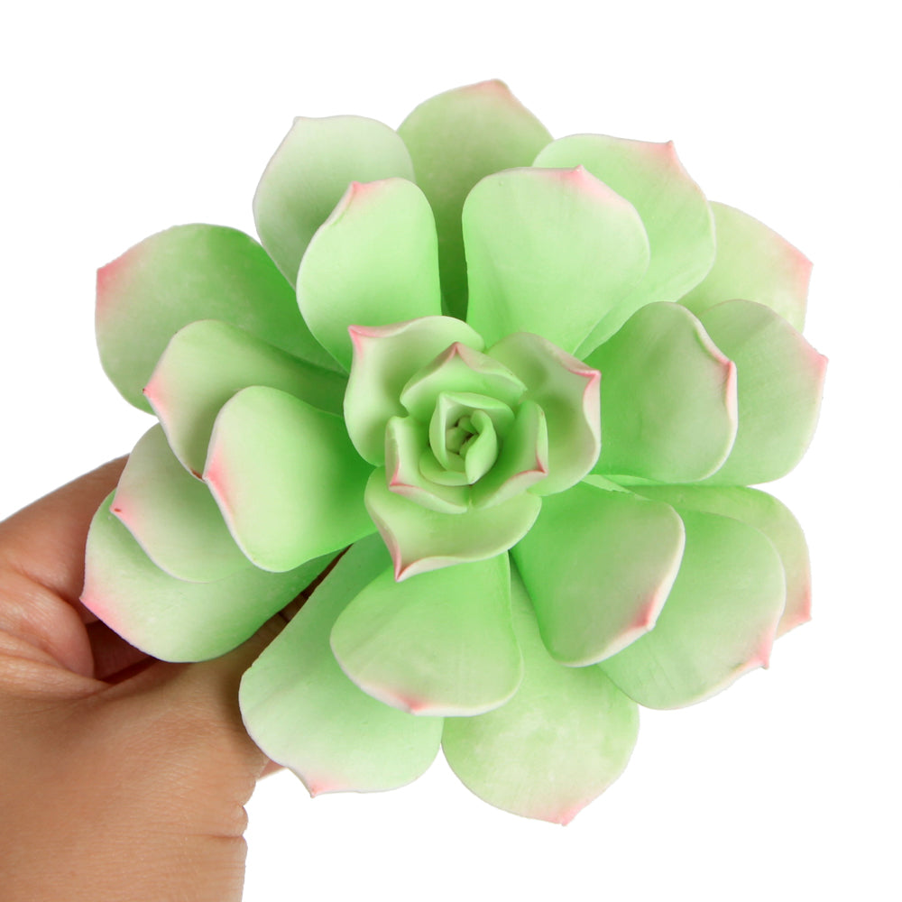 Desert Bloom Succulent - Light Green