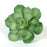 Gumpaste Succulent Sugarflower cake topper perfect for cake decorating fondant cakes & wedding cakes. | CaljavaOnline.com