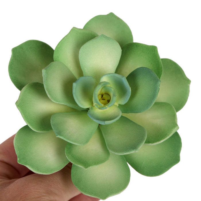 succulent fondant Starburst Succulent