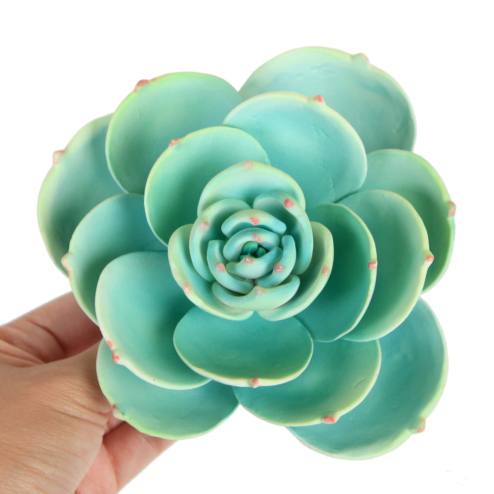 Large Succulent - Green