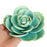 Gumpaste Succulent Sugarflower cake topper perfect for cake decorating fondant cakes & wedding cakes. | CaljavaOnline.com