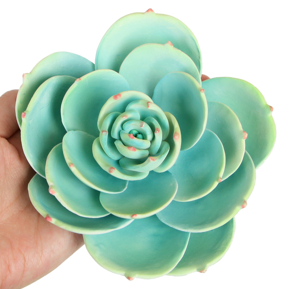 Extra Large Succulent - Green