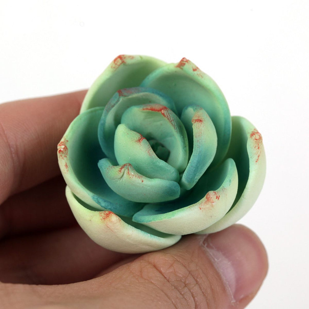 Succulent Cake Buttercream Piping Tutorial | Craftsy | www.craftsy.com