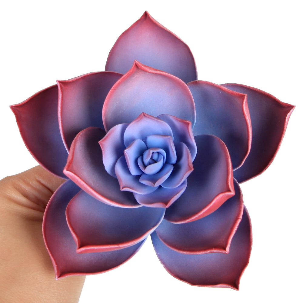 large purple succulent Large Succulent