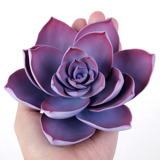 Medium Succulent - Violet
