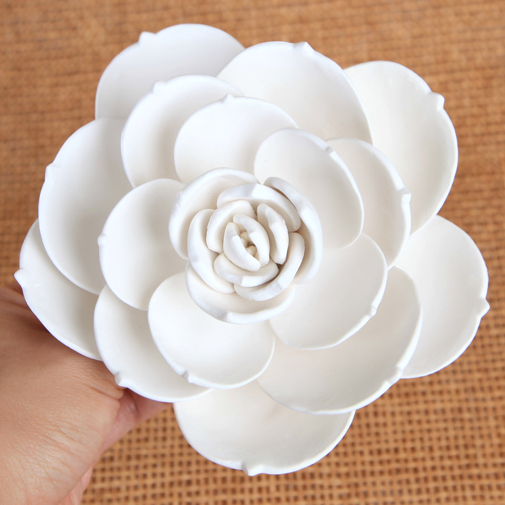 white rose succulent Extra Large Succulent (Round)