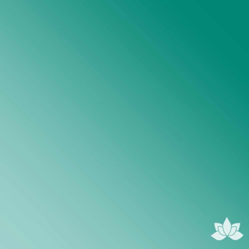 Chefmaster Gel Base Color - Teal Green