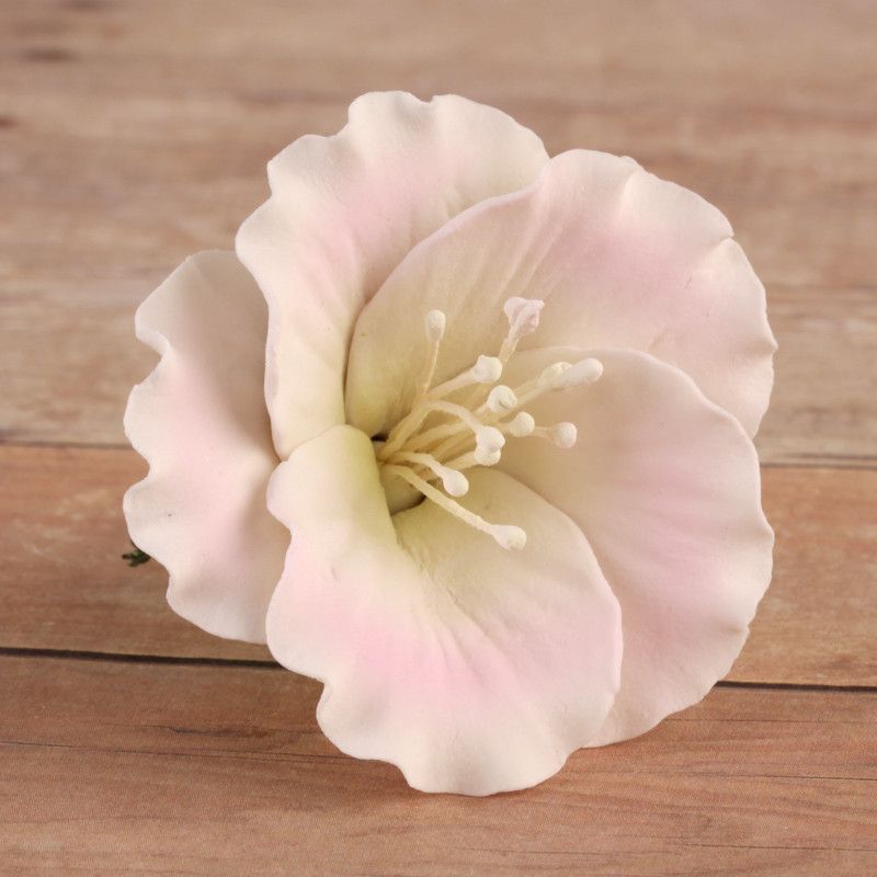 Azaleas - Pink