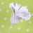 White Azalea blossom sugarflower made from gumpaste.  Cake decoration.  Wholesale cake supply.  Caljava Bakery Supply.