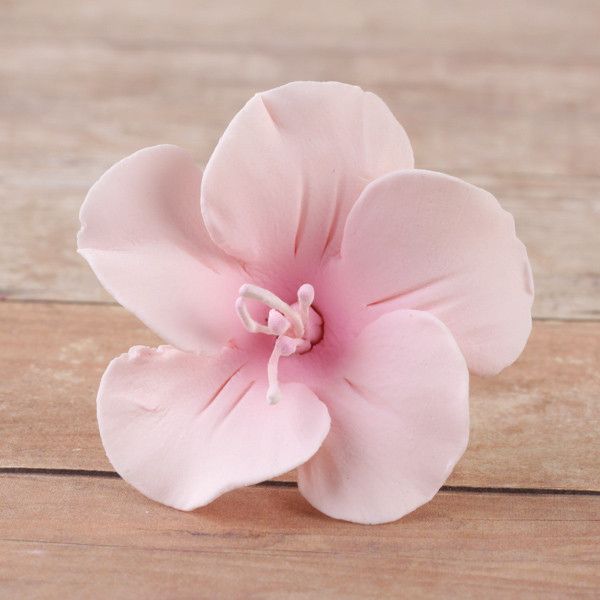 Pink Fruit Blossom Gumpaste Sugarflower cake toppers perfect for cake decorating fondant cakes & cupcakes.  Wholesale cake decorations.