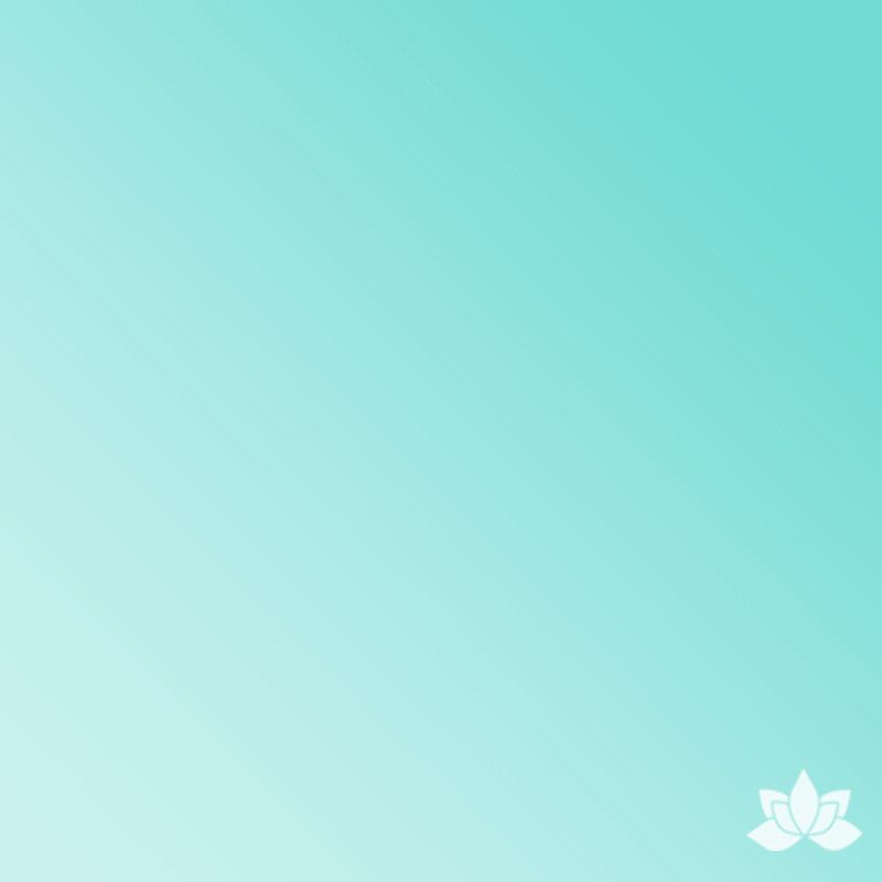 Chefmaster Gel Base Color - Turquoise