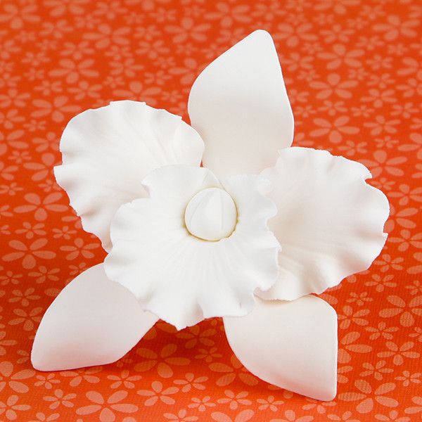 White cattleya orchid sugar flowers 3 inch edible cake decor, handcrafted sugar orchids for cakes and desserts. Caljava wholesale cake supply.