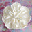 White Heirloom Peony Sugar Flower Cake Topper for decorating wedding cakes and birthday cakes. Ready to use cake decor for cake decorators by Caljava.