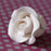 1.5 inch white tea rose sugar flower used as a cupcake topper