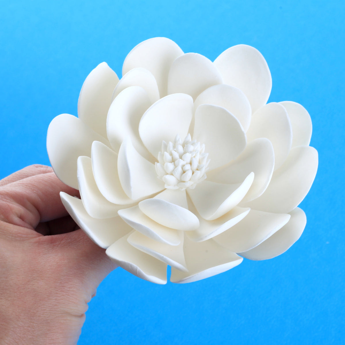 Dresden Modeling Tool (Flower & Leaf Shaper) — CaljavaOnline