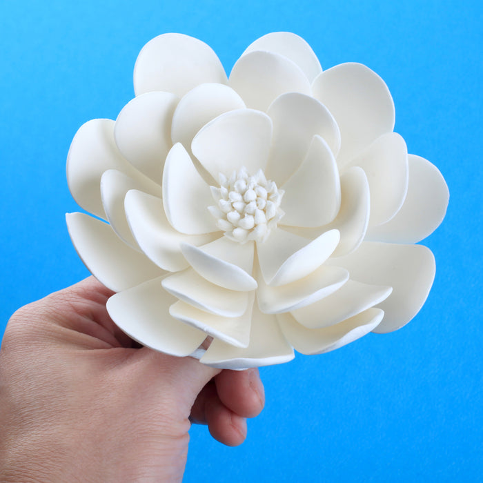 Dresden Modeling Tool (Flower & Leaf Shaper) — CaljavaOnline