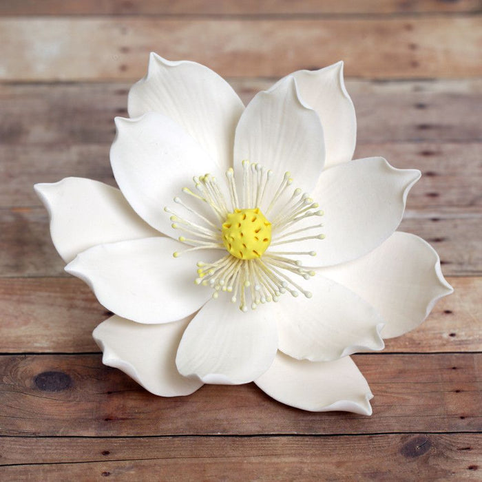 Large Lotus Flower (Water Lily) from gumpaste cake topper perfect for cake decorating fondant cakes. Wholesale cake supply. Caljava.