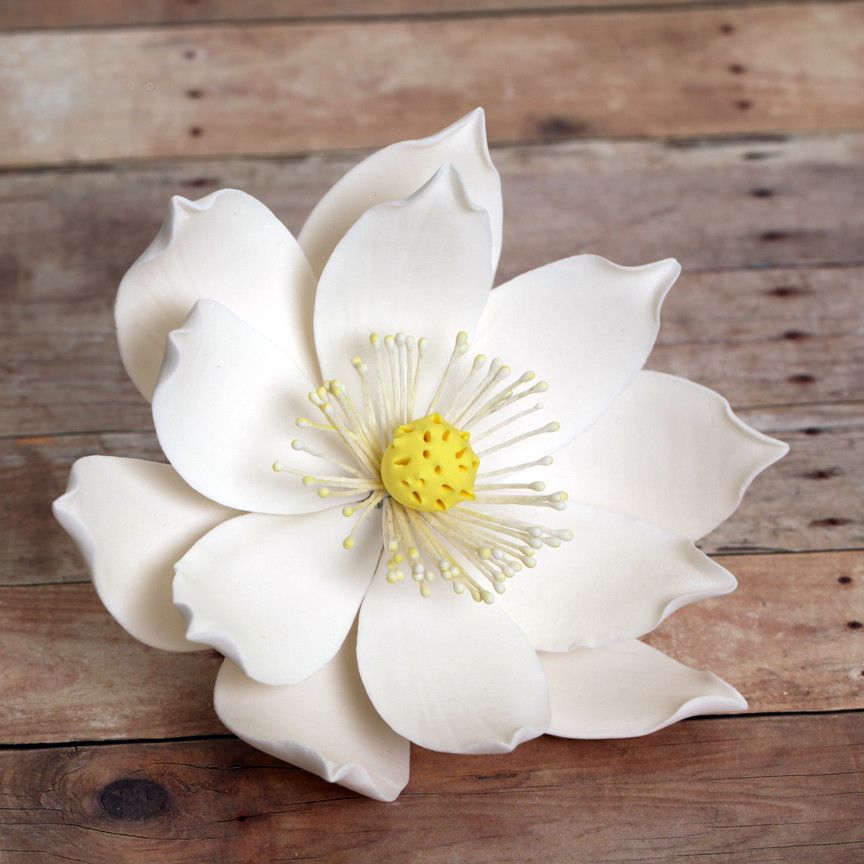 fondant lily flower Large Lotus Flowers