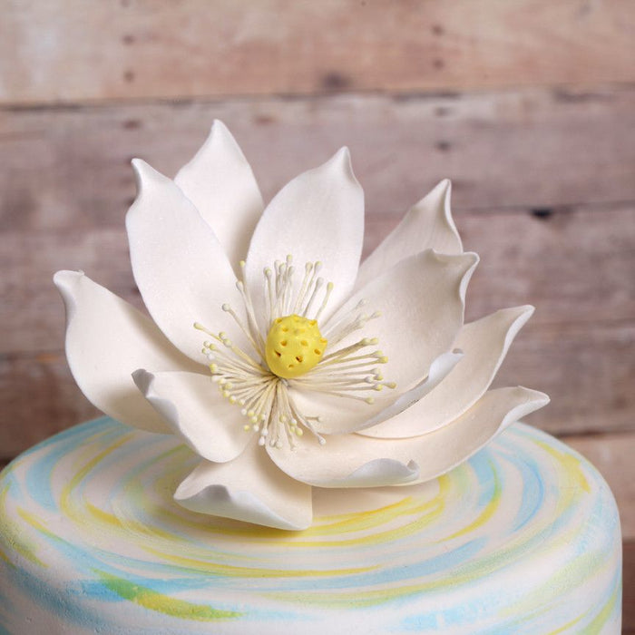 lily flower cake decorations Large Lotus Flowers