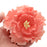 Pink Gumpaste Large Garden Peony sugarflower cake toppers perfect for cake decorating rolled fondant wedding cakes and birthday cakes.  Wholesale cake supply & sugarflowers. | CaljavaOnline.com