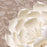 Gumpaste Queen of the Night Dahlia Sugarflowers are perfect cake decorating fondant wedding cakes & cupcakes. Handmade cake toppers from gumpaste/fondant. Wholesale sugarflower. Caljava Bakery Supplies