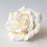 White Rose Sugarflower cake topper great for decorating your own cakes. Handmade from gum paste.