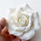 White Rose Sugarflower cake topper great for decorating your own cakes. Handmade from gum paste.