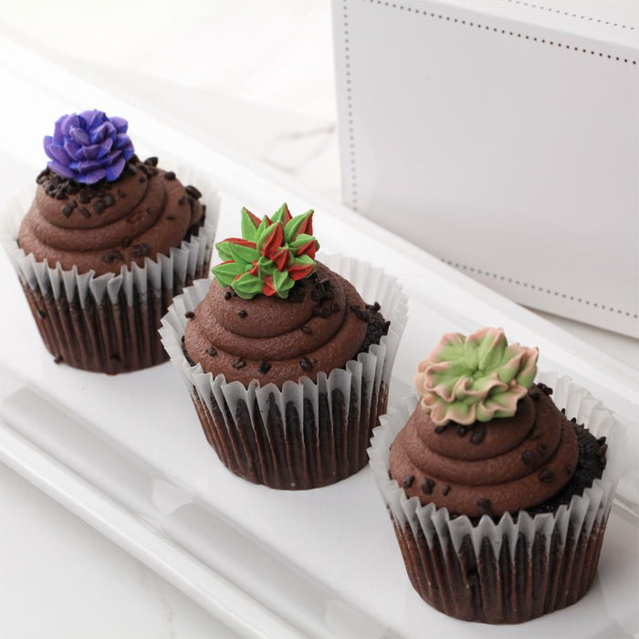 Succulent Royal Icing Toppers for decorating your own cupcakes, chocolates, cookies, cakes, and other edible desserts.  Edible hand piped icing designs, ready to use.