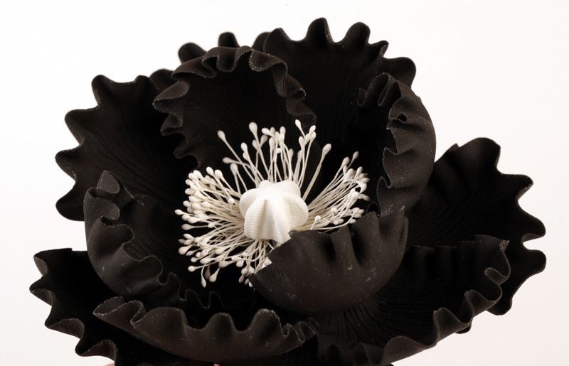 Black peony sugar flower cake topper applied to a smooth fondant wedding cake  Wholesale cake supply & sugarflowers by Caljava
