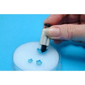 Blossom Forget-Me-Not Plunger Cutter
