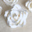 Caljava ready-to-use white gumpaste garden roses for professional cake decorating and faster workflow.