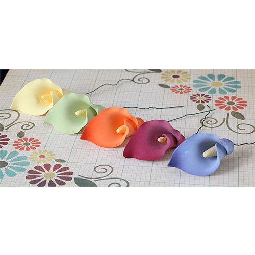 Large Calla Lilies - Assorted Colors
